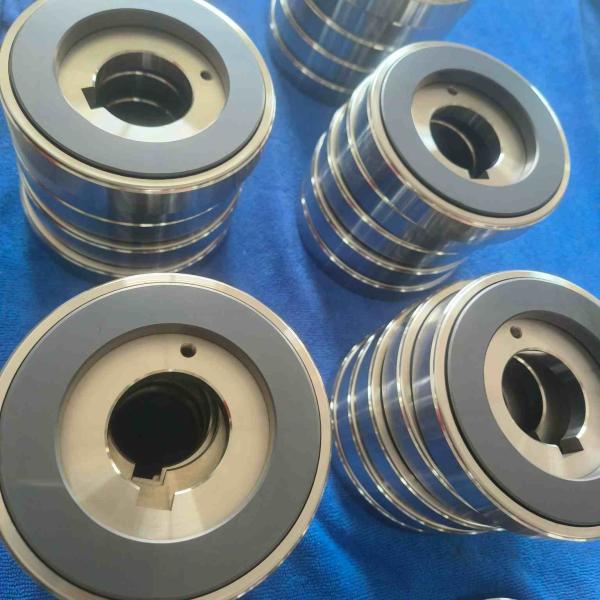 Rodamiento deslizante de carburo de silicio para bomba de motor encapsulado Diseño y material personalizados para aplicaciones de alta temperatura