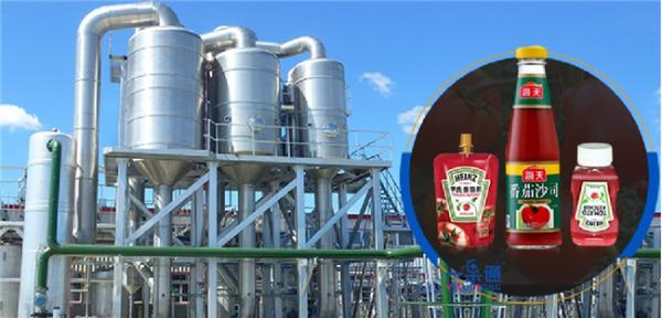 Concentrate Type Food Processing Equipment For Fruit Juice Making