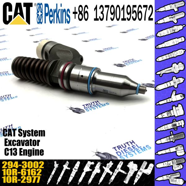 Diesel injector Common Rail Diesel Fuel Injector 294-3002 for CAT diesel engine 10R-6162