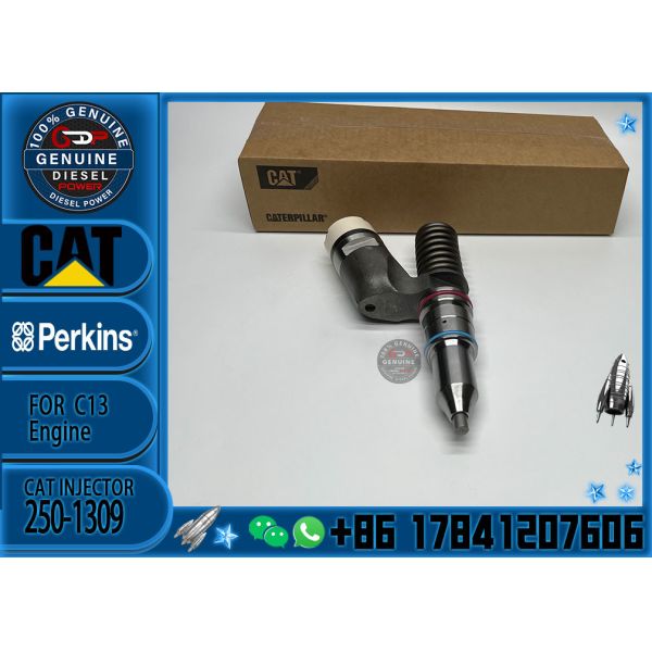 High Quality Diesel CAT Fuel Injector 250-1309 2501309 10R-3258 10R3258 For Cat C13 Excavator Parts Engine