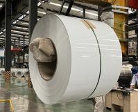 Z180 Beckers PPGI 10 Years warranty DX51D S320GD Pre-Painted Galvanized Steel Coil PPGI EN 10169