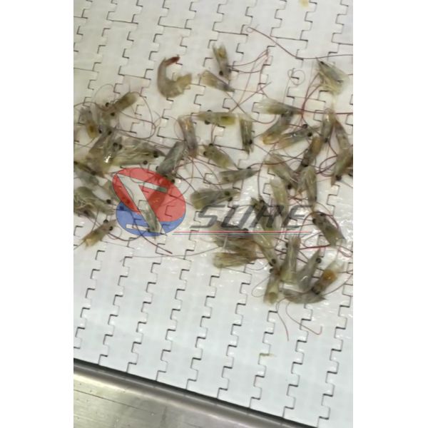 Máquina de processamento de camarão para descascar e classificar