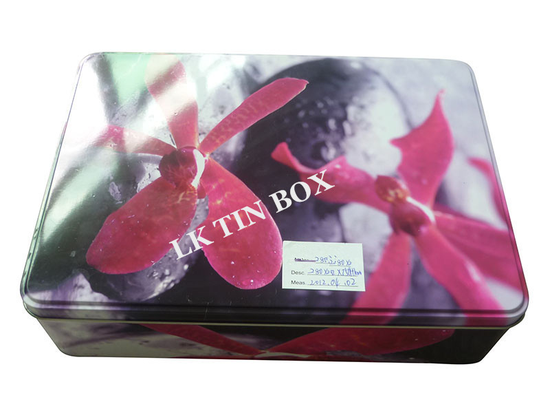 Rectangular big Printed Metal Cookie Biscuit Tin Box With Hinged Lid