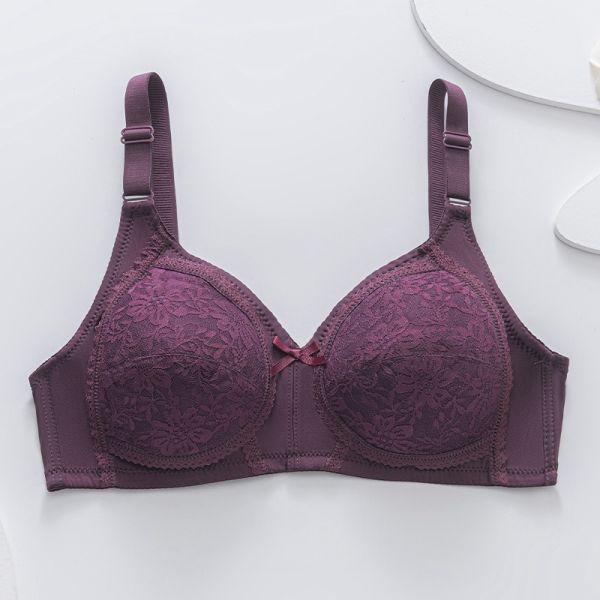 C Cup Women Bra Wire Free Push up Factory Wholesale Cheap Price Ladies Lace Bra for Women
