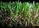 Anti Fire Playground Area 30mm Outdoor Artificial Pet Grass Mat For Garden