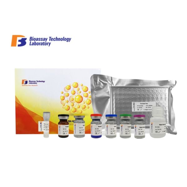 96 Wells ANG-Ⅱ Porcine ELISA Kit With Strong Sensitivity For Research
