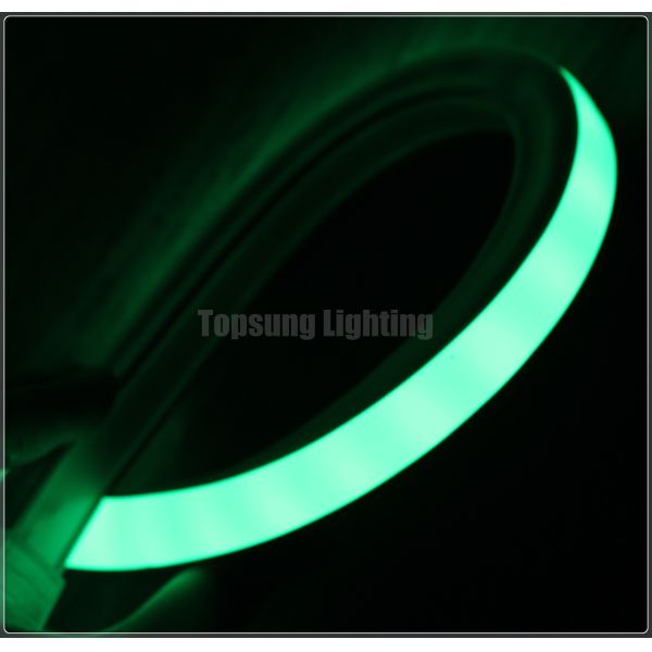 new design flexible led light 24v 16*16 m green hot sale
