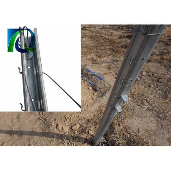 Agricultural Galvanised Steel Vineyard Posts 2500x1.5MM High Wind Resistance