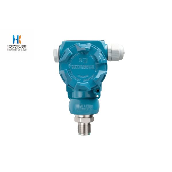 Hank Sensor OEM ODM RoHS REACH RS485 -100kpa 100MPa 24VDC 4-20mA ATEX Ex-proof Pressure Transmitter With Display