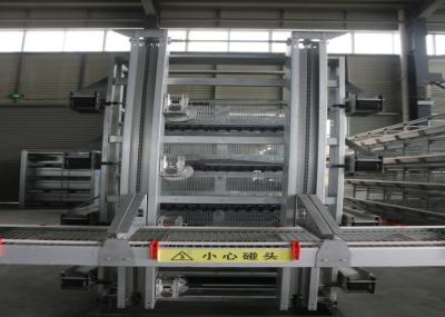 Laying Hens Poultry Cage Farming / H Type Wire Chicken Cages Free Design