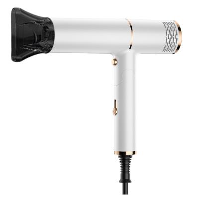 Fashionable Purple Energy Saving Lightweight Small Hair Dryer with ABS PC