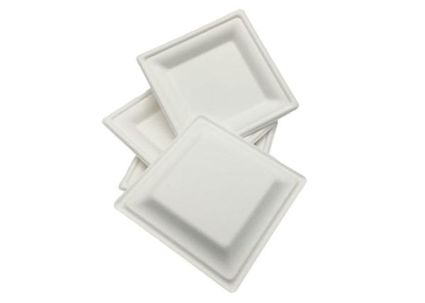 100% Compostable 6 Inch 10g Sugarcane Waste Plates