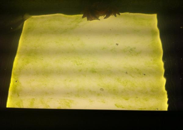 18W / 24W / 36 W Outdoor Waterproof LED Panel 300x300 High Efficiency