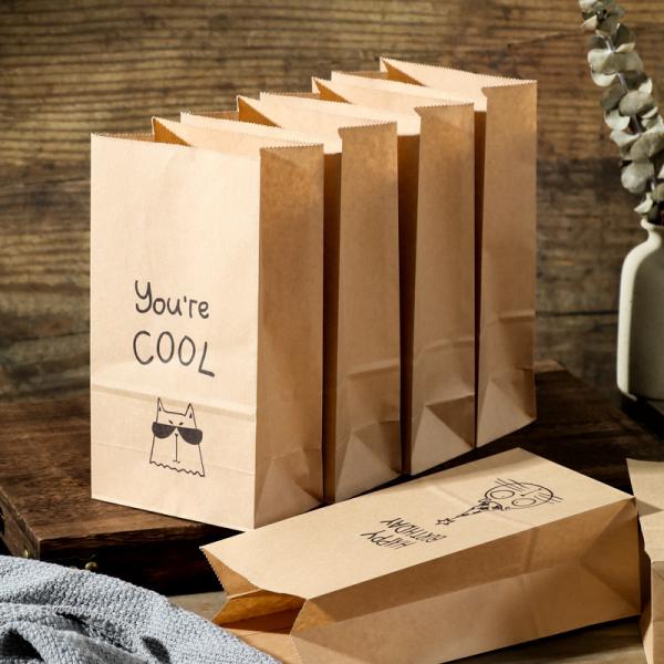 Custom Printed Kraft Gift Bags Eco Friendly Packaging