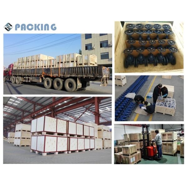 Водная среда 1500LB F304 SS304 SS316 Нержавеющая сталь длинный ствол криогенный клапан Глобусный клапан