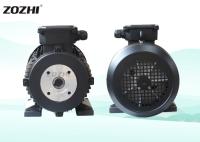 400V creusent le cadre 132 de moteur d'axe 4 norme de Polonais 1400Rpm 24mm 7.5hp 5.5kw IE1