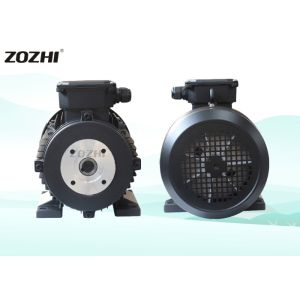 рамка 132 мотора полого вала 400В 4 стандарт поляка 1400Рпм 24мм 7.5хп 5.5кв ИЭ1