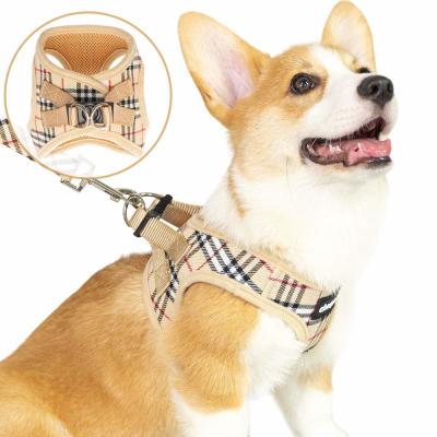 O chicote de fios ajustável bonito e a trela do cachorrinho da manta ajustaram a prova pequena do escape da veste do cão