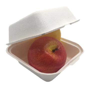Bento   6x6 caixas biodegradáveis da polegada 21g para o alimento