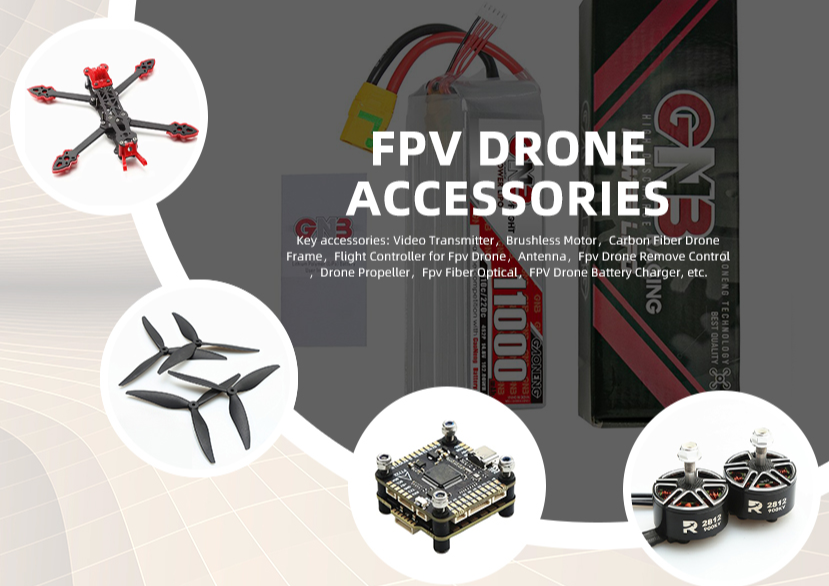 Padi Fly Technology Co., Ltd