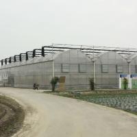 Cultivo exterior galvanizado quente estufa hidropônica de aço do período do tomate da multi
