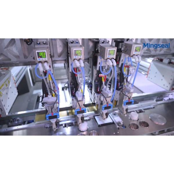 Dual Drive Automatic Glue Dispensing Machine Four Valve Inline Automated Epoxy Dispenser