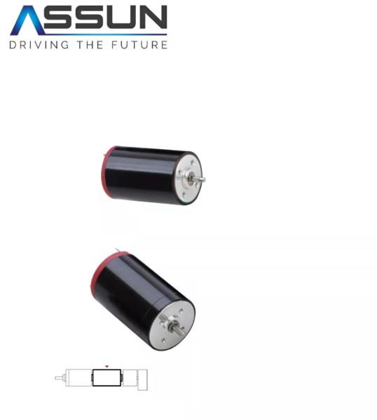 L32mm D22mm Brushed Coreless Motor 5448 Rpm 3.9W For Medical Tools