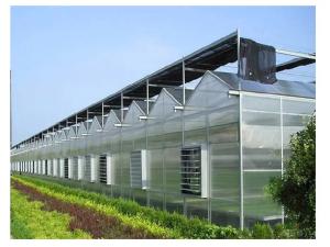 Water Resistance Glass Sheltered Greenhouse For Plant Cultivation
