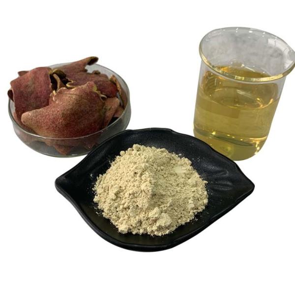 Anti Mutagen Pomegranate Peel Extract Powder Ellagic Acid 40% For Wound Healing