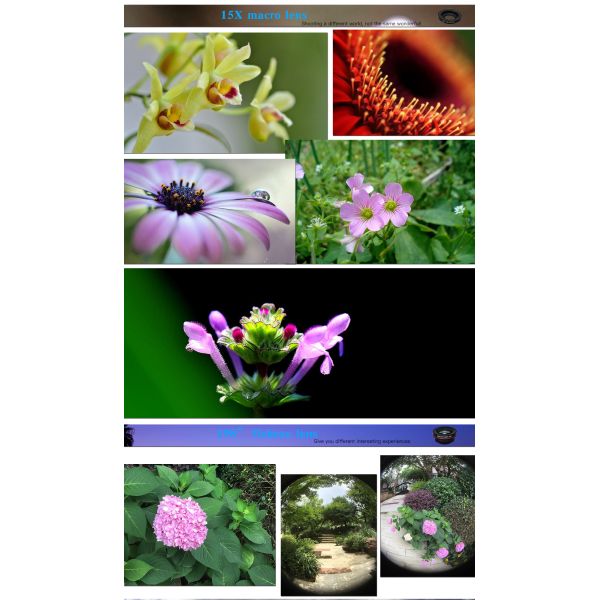 3 In 1 DSLR Camera Lens , Cell Phone Lens Macro Photo Camera Kit With Clip