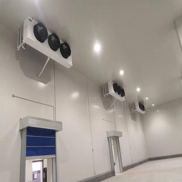 Customização Sistema de refrigeração comercial para peixe Frutas e legumes Armazenamento Sala de congelação