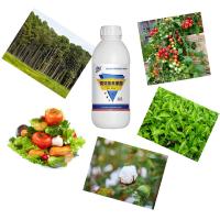 SC Agrochemical 10% Beta Cypermethrin Insecticide Pesticide For Vegetables Fruit Trees