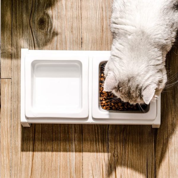 Ceramic Dog Cat Food and Water Bowls Set for Small Size Dogs and Cats