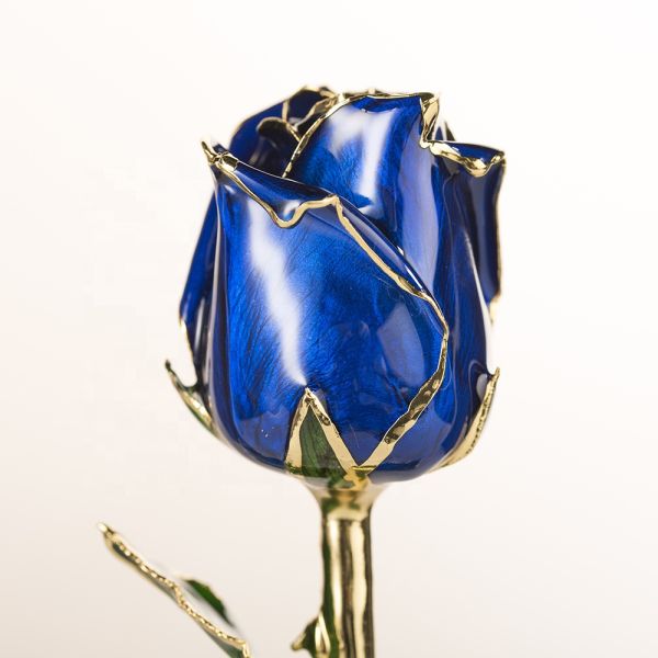 Half-blooming 24k Gold  Trimmed Rose   Handmade Flowers Preserved Fresh Rose with Stem Present  Rose Gift