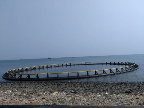 Farming Machinery PE Floating Fish Farming Cage for Aquaculture