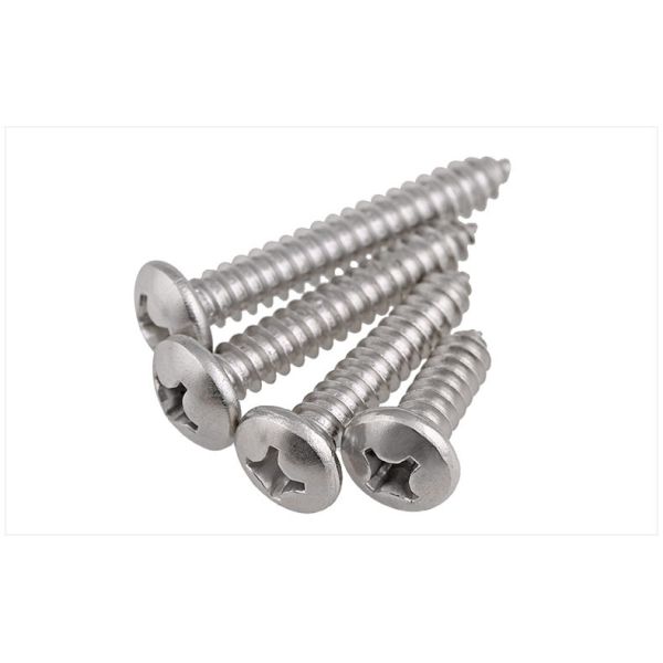 Stainless Steel Phillips Rounded Head Screws for Sheet Metal DIN7981 Pan Head Phillips Drive Tapping Screws