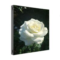 P5.71 Pantalla LED fija para exteriores SMD2727 960x960mm 6000nits