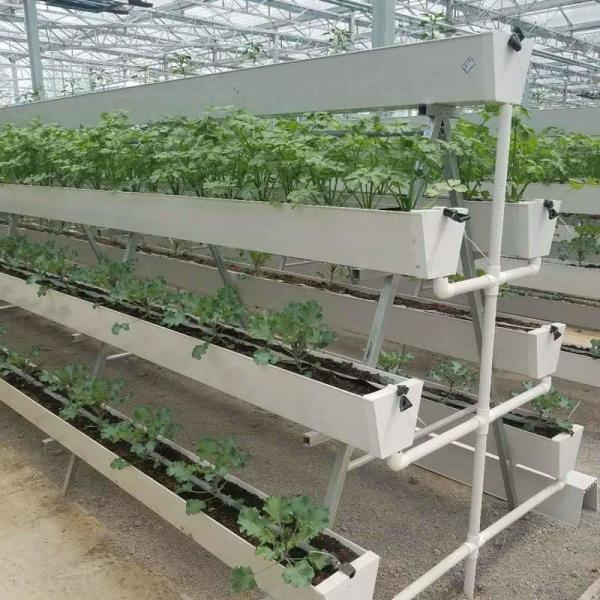 Sistema de cultivo hidropónico de morango Plantação vertical Cultivo de canaveira de PVC em ambientes internos para casa