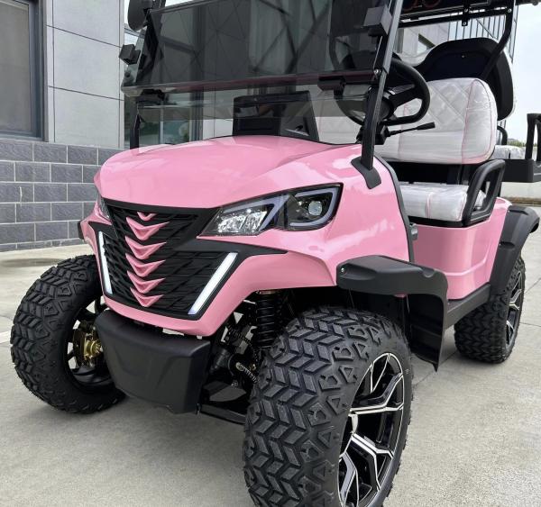 Carrinho de golfe elétrico com cobertura 60v 100ah Bateria de chumbo ácido frontal parachoque e rádio