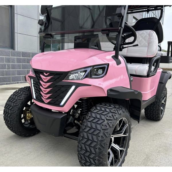 Carro de golf eléctrico de 2+2 plazas con batería de litio de 72V 105Ah – Ecológico