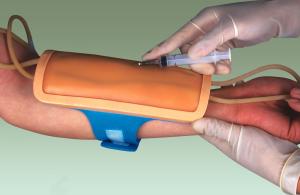 Forearm Vein Puncture Jacket Model by Imported PVC for College Education