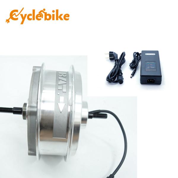 36V 8.8ah Hub Motor Style Electric Bike Lithium Battery 800 Cycles Life