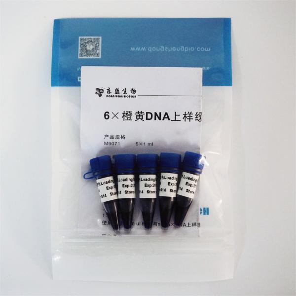 6× Gel Loading Dye Three Color DNA Electrophoresis Buffer 1mlx5