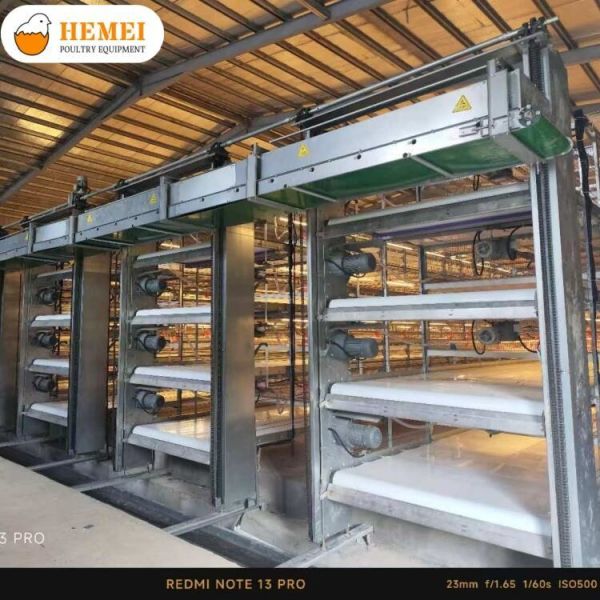 Multi Tier Automatic Bird Harvesting Broiler Chicken Cage