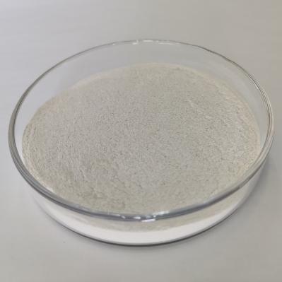 Habio Alkaline Protease 200,000~1,000,000u/G Bio Enzyme Powder For Detergents
