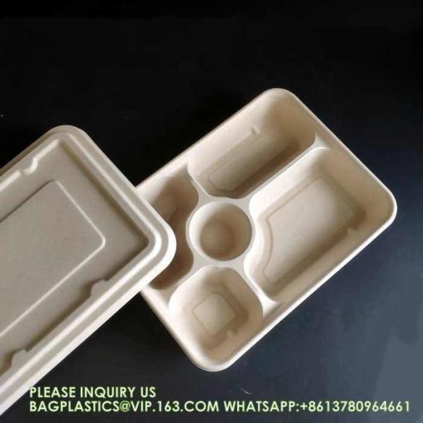 5 Compartment Snack Food Tray Sugarcane Bagasse Plate Disposable Plates Eco-Friendly White Natural Bagasse Plates