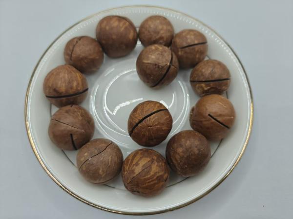Delicious Natural Macadamia Nuts From In Plastic Bag