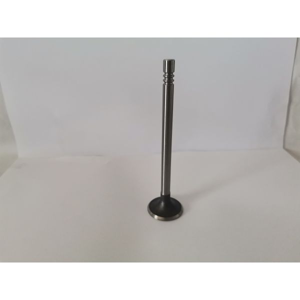 222124A061 D4CB Engine Exhaust Valve 16 Valves 2013/2017 HYUNDAI HR