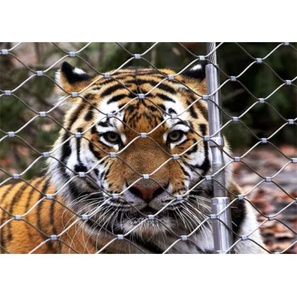 Zoo Stainless Steel Wire Mesh Fencing 7*7 7*19 With Various Specifications