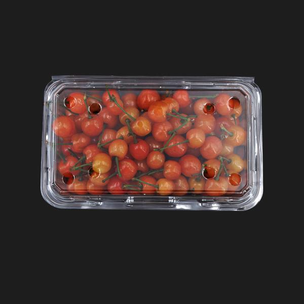 No Leakage Disposable Plastic Boxes